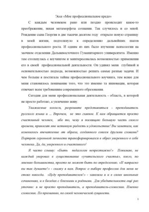 Эссе мое профессиональное кредо.