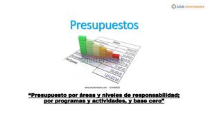 Presupuesto por áreas y niveles de responsabilidad; por programas y actividades, y base cero