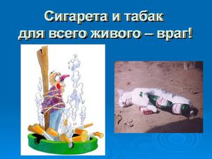 Сигарета и табак для всего живого враг