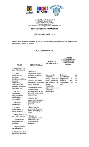 Plan De Area Proyectos Once 2015