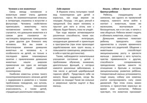 Домашние животные как психотерапия.