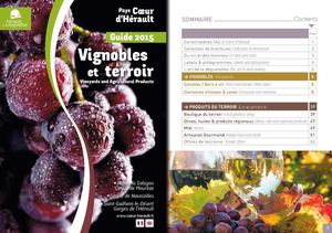 Guide Vignobles&terroir 2015 Fr Gb
