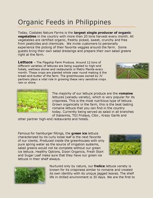 Organic Vegetables In Philippines