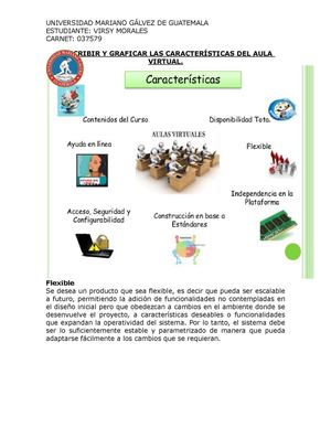 Las Características Del Aula Virtual Virsy