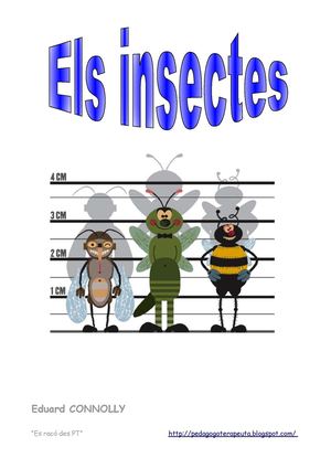 Insectes Plana Pt Ampliat