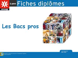 Bac Pro Lyon 2015 1