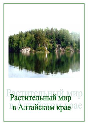 Растительный мир Алтайского края