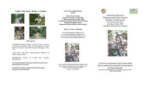 Camino real 460 años