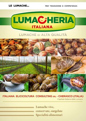 Catalogo Lumacheria Italiana 2015