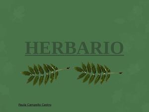 Pasos para la realización de un herbario