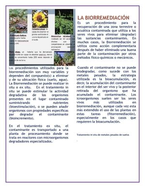 La Biorremediación Es Un Procedimiento Para La Recuperación De Una Zona Terrestre O Acuática Contaminada Que Utiliza A Los Seres Vivos Para Eliminar