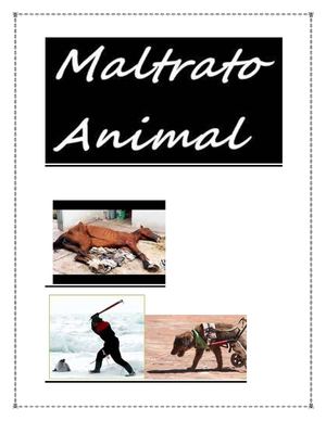 Crueldad Hacia A Los Animales