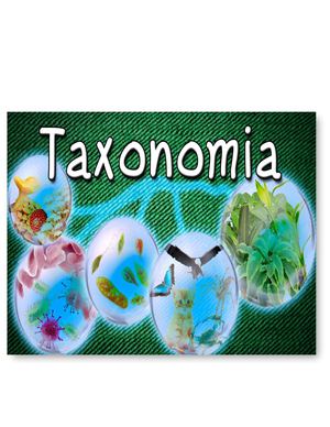 Conceptos Básicos De Taxonomía