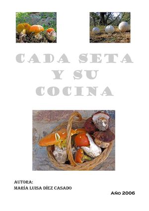 CADA SETA Y SU COCINA 2006 .