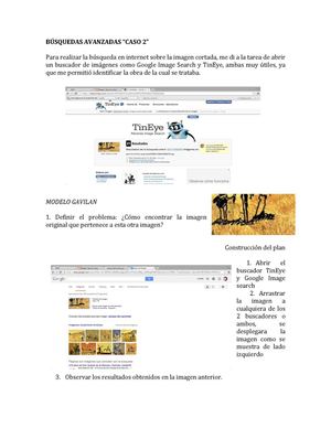 Búsquedas Avanzadas Caso 2