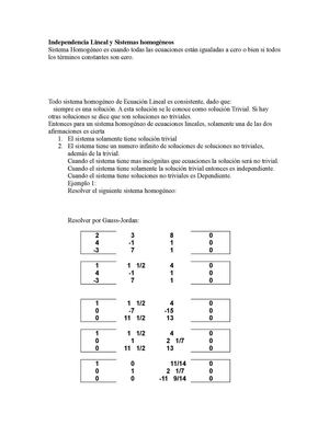 Independencia Lineal Y Sistemas Homogéneos
