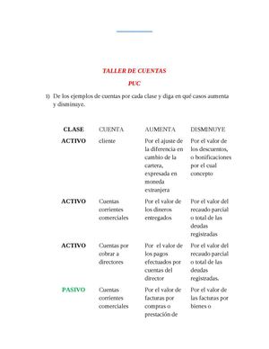 Taller De Cuentas Y Puc