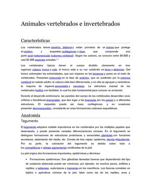 Animales Vertebrados E Invertebrados
