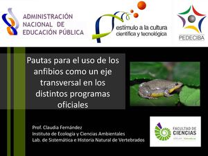 07 Programas Oficiales