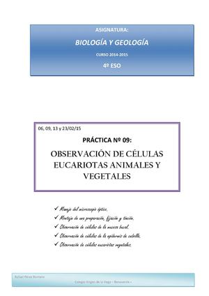 Práctica 09 4eso