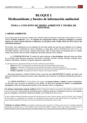 T 01 CTM: Concepto Medio Ambiente  Teoria Sistema