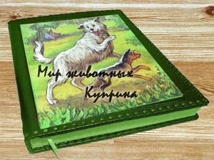 Рассказы А И Куприна