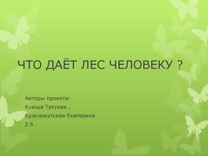 Что дает лес человеку Презентация Microsoft Power Point