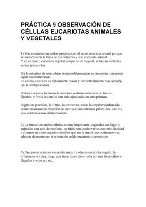 Práctica 9 Observación De Células Eucariotas Animales Y Vegetales