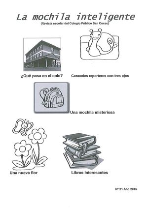Mochila Inteligente Nº 21