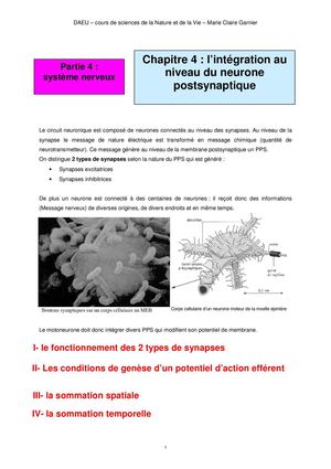 Ch4 P4 Integration Postsynaptique