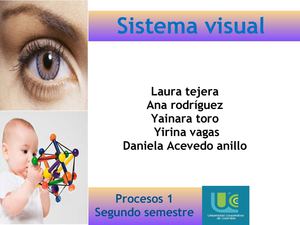 Sistema Visual Procesos I