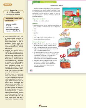 5 Ano - Unidade 4 - Professor