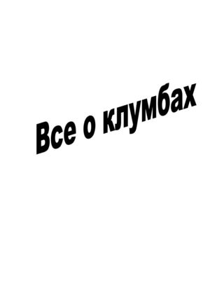 Схемы посадки цветов на клумбе для начинающих 111