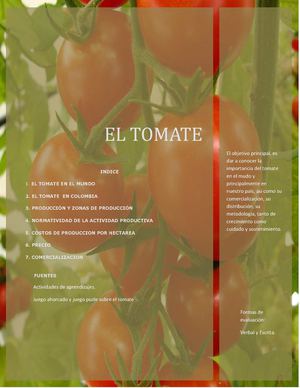 El Tomate