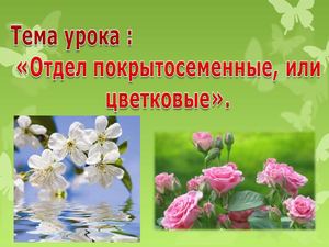 Покрытосеменные, или Цветковые 5 кл