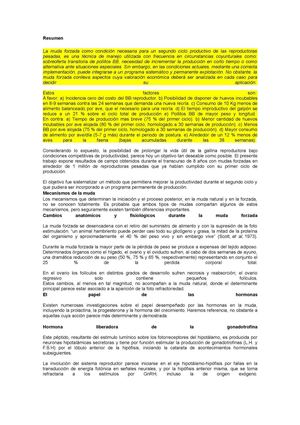 Muda Forzada En Gallinas Reproductoras Pesadas