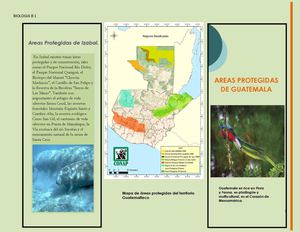 Triptico En Word Pdf