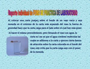 Cohesion Molecular (Patty)