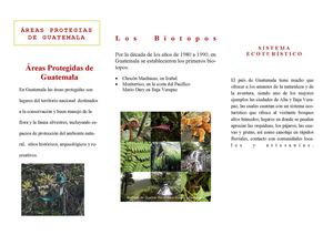 Trifoliar Grupal