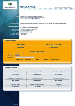 Calaméo - Modello Quick Check Report