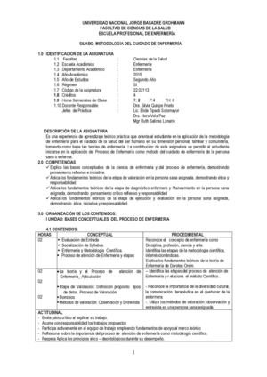 Silabo Metodologia Del Cuidado 2015