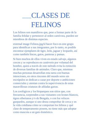 Clases De Felinos