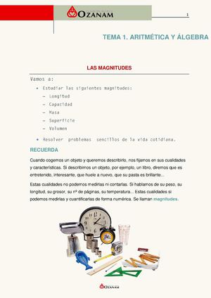 Tema La Magnitud