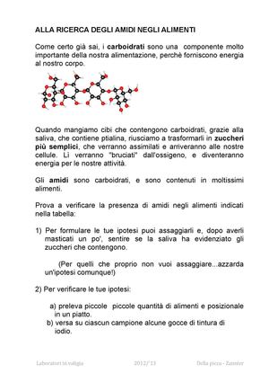 Alla Ricerca Degli Amidi Negli Alimenti