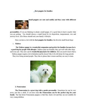 Best Puppies For Families