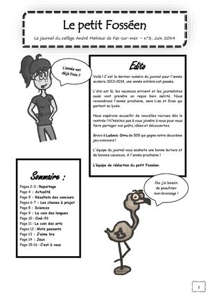 Petit Fosséen, Numéro 3