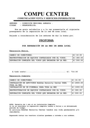 Ejemplo De Proforma E Informe