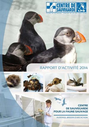 LPO Aquitaine - Bilan 2014 du Centre de Sauvegarde d'Audenge