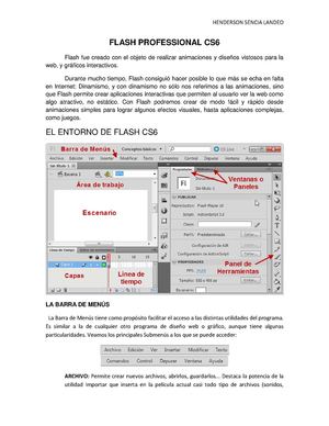 Flash Professional Cs6