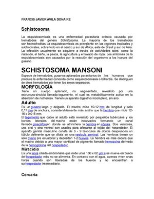 Schistosomas Etiologia